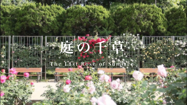 The Last Rose of Summer（アイルランド民謡）